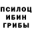 Псилоцибиновые грибы прущие грибы Jesus dude.